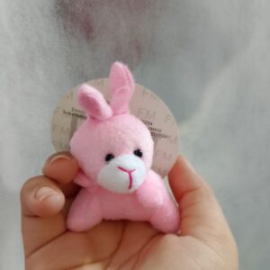 Chaveiro de Bichinhos: Coelho